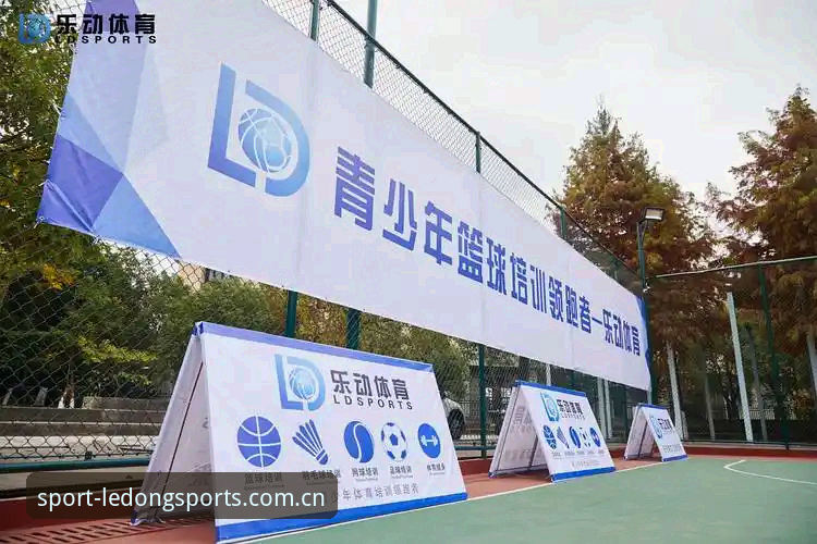 LD乐动体育最新版安装使用教程：从下载到观赛的一站式指南